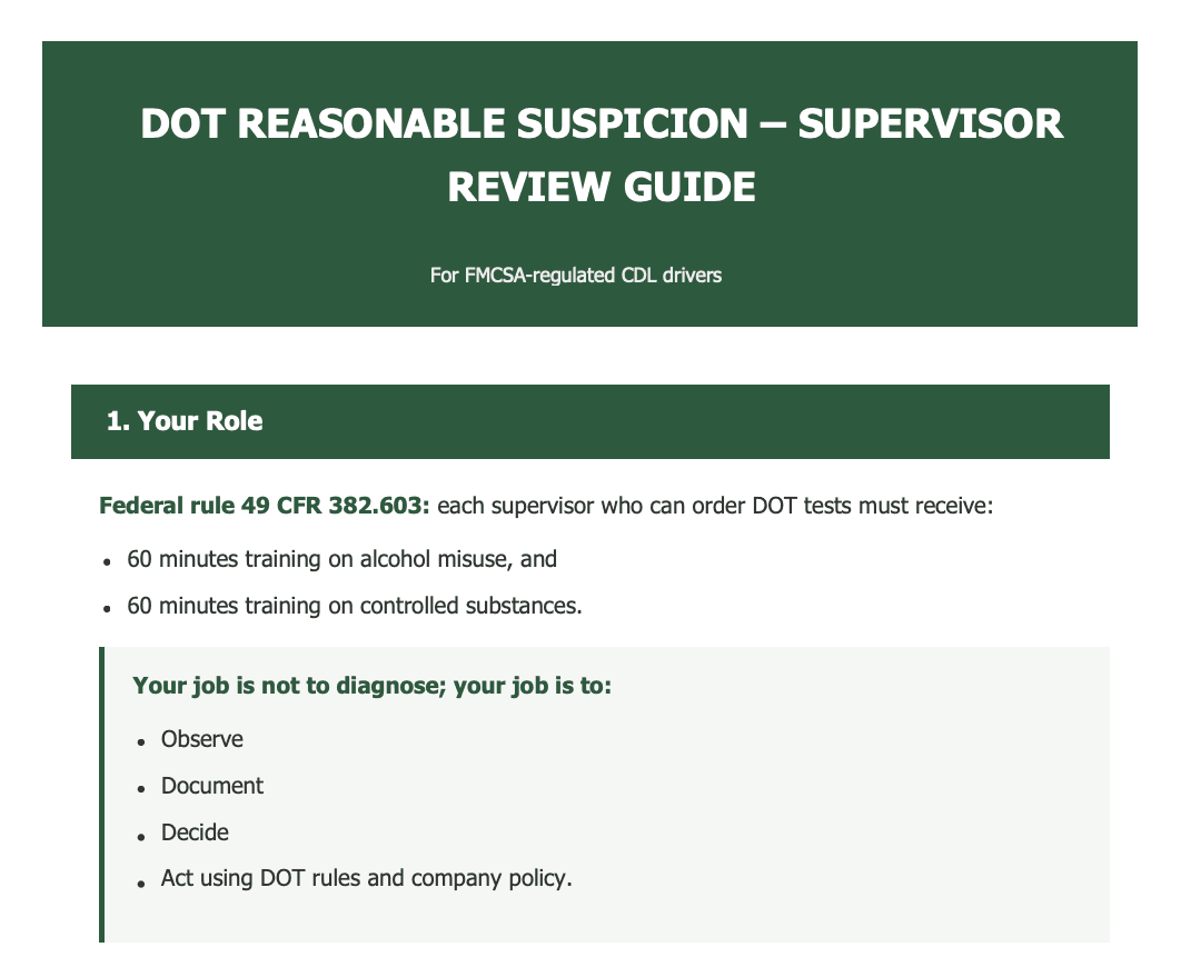 Reasonable Suspicion review guide preview
